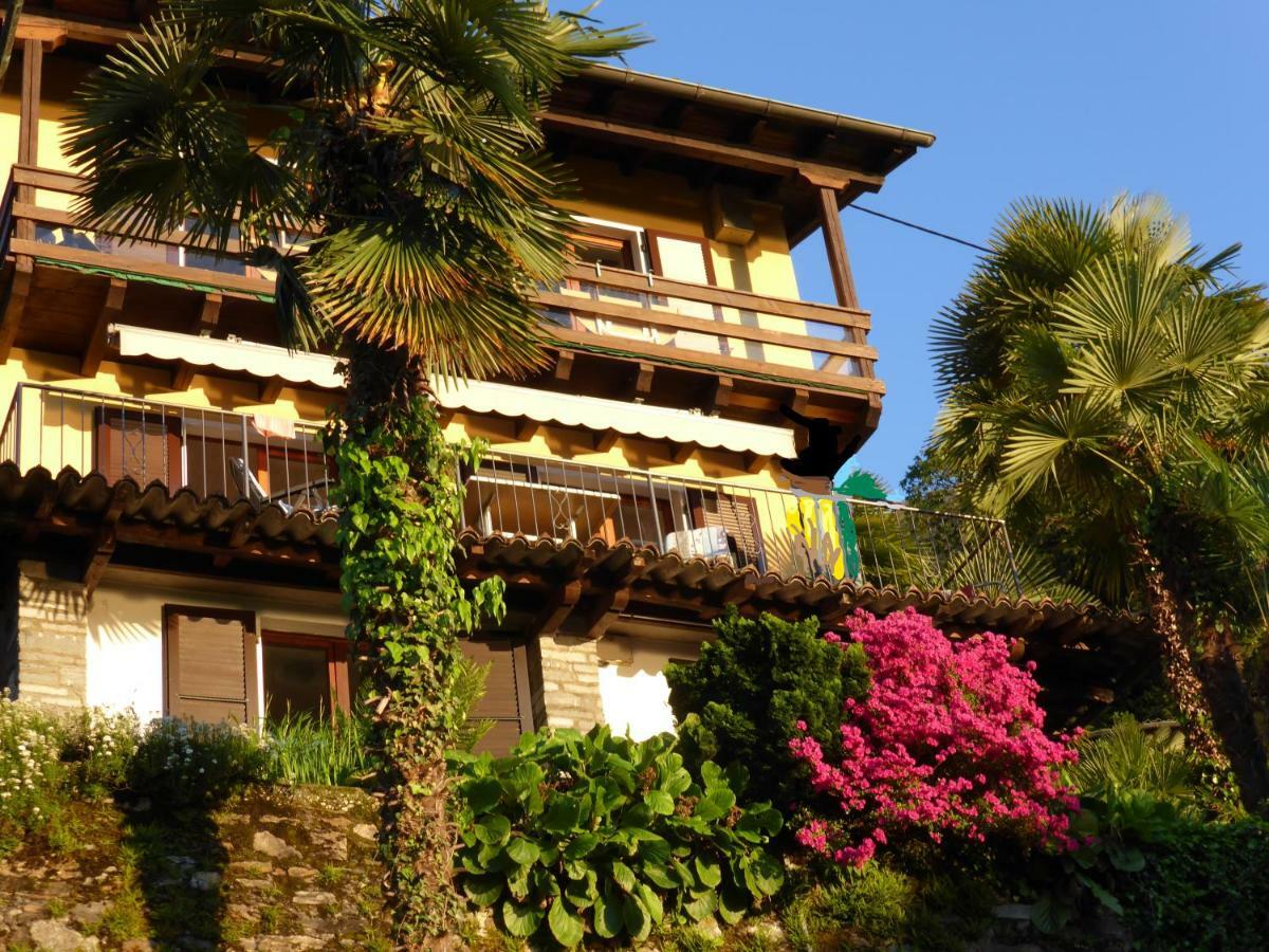 Casa Petra 1 1/2 Zi, Orgnana 83 Apartment Gambarogno Luaran gambar